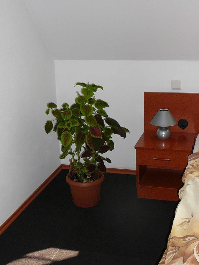 Přísečná Penzion Praktik Krumlov חדר תמונה